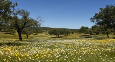 Bahar peyzaj extremadura, İspanya