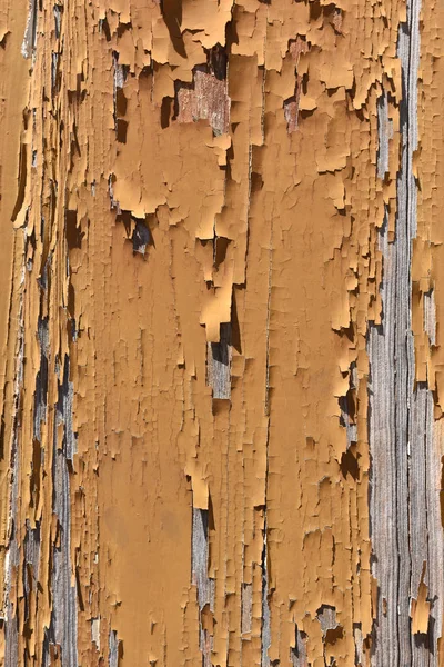 Gros plan d'un vieux bois — Photo
