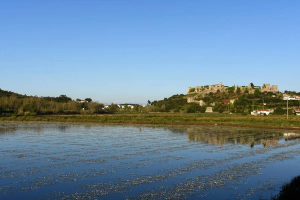 Fiel di riso e villaggio di Montemor o velho — Foto Stock