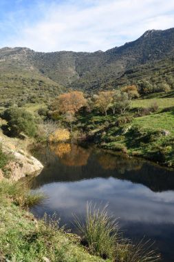 Natural Park of l Albera in the Ampurdan, Girona province, Catalonia, Spain clipart