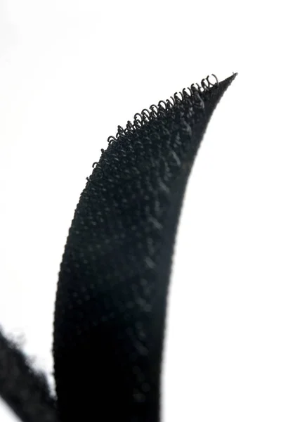 Detalle de velcro sobre fondo blanco , — Foto de Stock