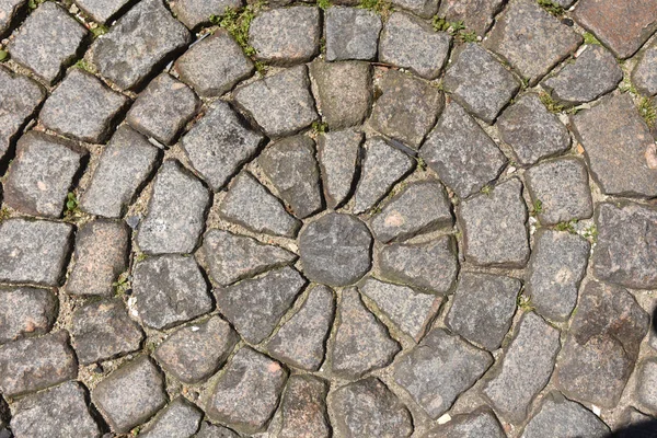 Detail of a cobble floor — Stock Photo, Image