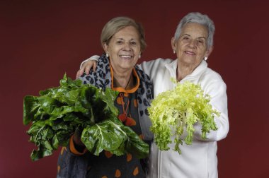 pazı ve hindiba ile iki kadın kıdemli