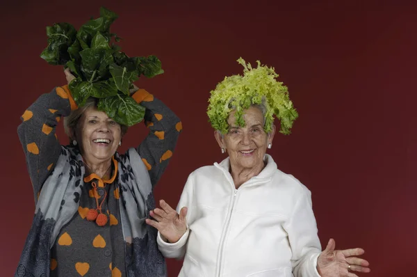 İki üst düzey kadın pazı ve hindiba ile oynama — Stok fotoğraf