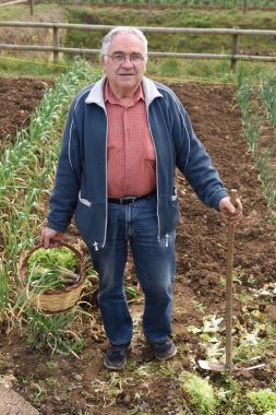 sebze bahçesini emekli bir adam portresi