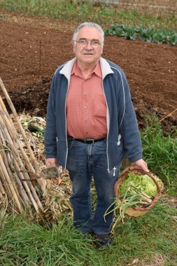 sebze bahçesini emekli bir adam portresi