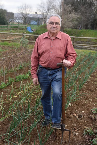 Portretul unui pensionar în grădina sa de legume — Fotografie, imagine de stoc