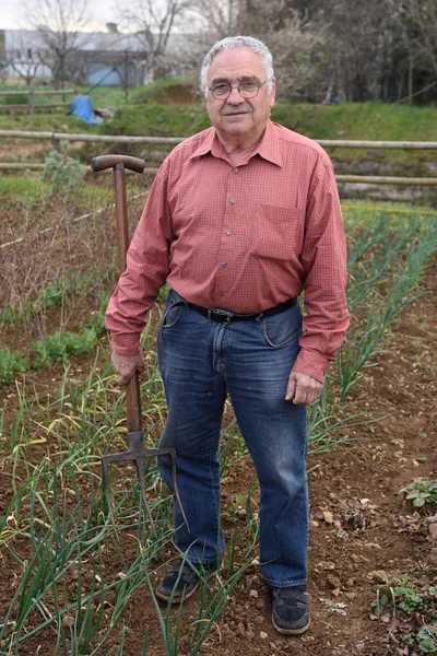 Potret seorang pensiunan pria di kebun sayurnya — Stok Foto