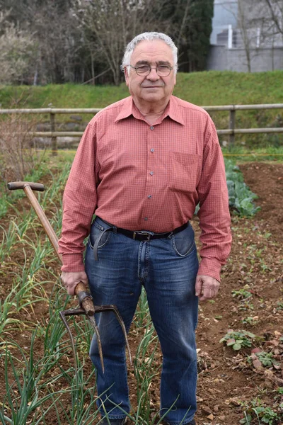 Portretul unui pensionar în grădina sa de legume — Fotografie, imagine de stoc
