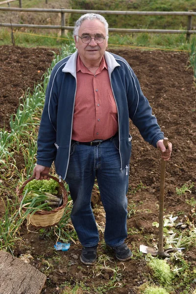 Portret van een gepensioneerde man in zijn moestuin — Stockfoto