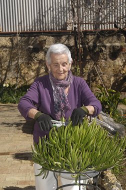 Old woman working in her garden