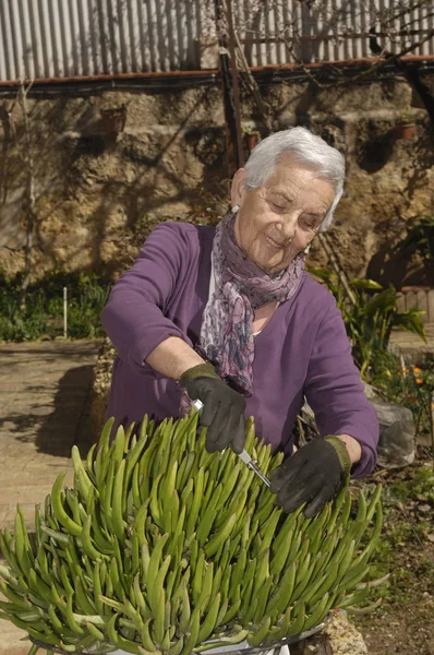 Vecchia donna che lavora nel suo giardino — Foto Stock