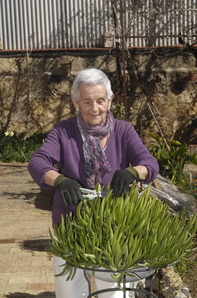 Old woman working in her garden — Stok fotoğraf