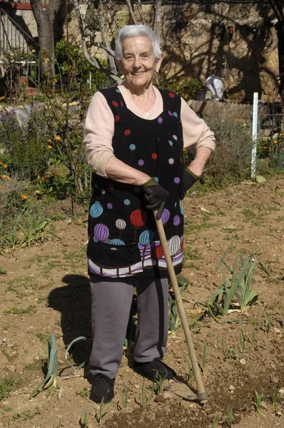 Old woman working in her garden — Stok fotoğraf