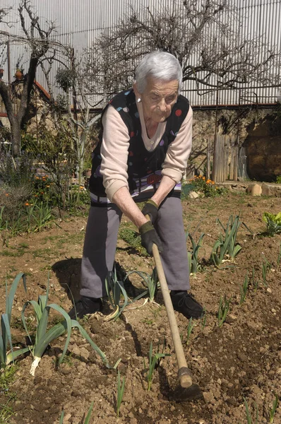 Vecchia donna che lavora nel suo giardino — Foto Stock