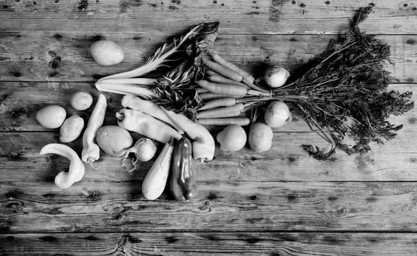 Verschiedenes Gemüse auf einem Holztisch — Stockfoto