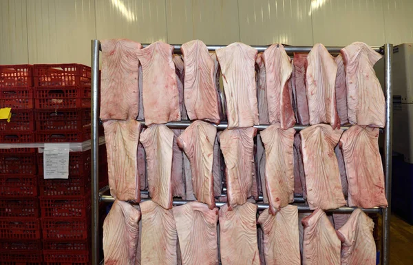 Производство свинины (части - бекон) ) — стоковое фото