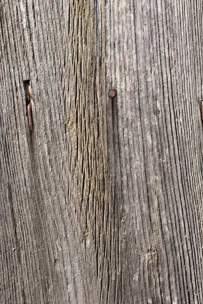 Close up of a wood with knots — Stock Photo, Image
