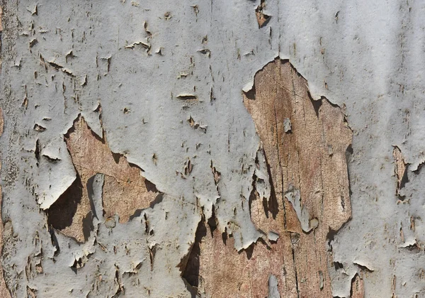 Resztki farby na Stare drewno — Zdjęcie stockowe