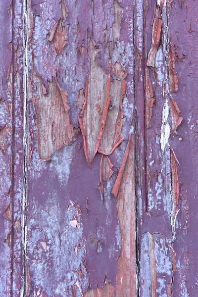 Resten van verf op oud hout, violet, Lila, — Stockfoto