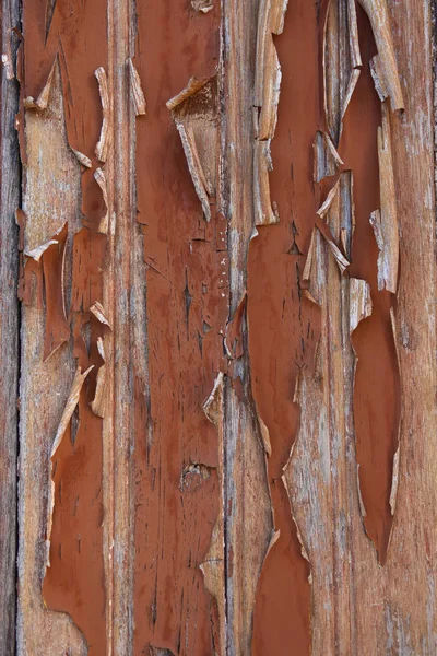 Close up de um velho woodd — Fotografia de Stock