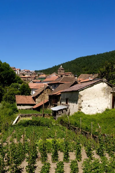 Ustarroz, (Uztarroze), Pirineos, Navarra, España — Foto de Stock