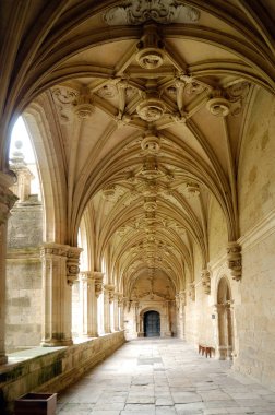 Sant Zoilo Cloister leş de Los Condes; Provin Palencia