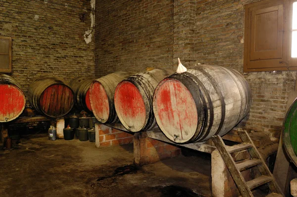 와인 부츠의 오래 된 지하실 — 스톡 사진
