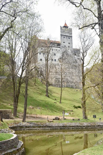Château Bran Transylvanie Roumanie — Photo