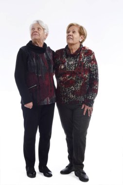 Beyaz üzerine iki üst düzey kadın