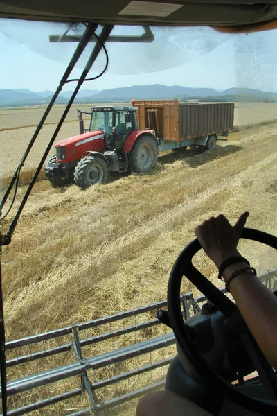 Working in the field — Stockfoto