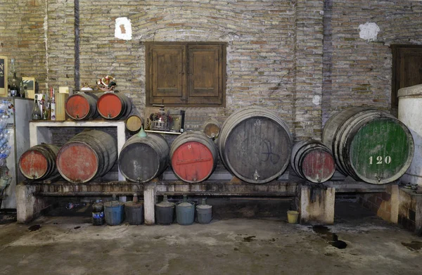 Eski şarap botları bir şarap mahzeni — Stok fotoğraf