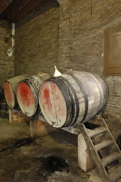 오래 된 와인 부츠와 와인 저장 고 — 스톡 사진