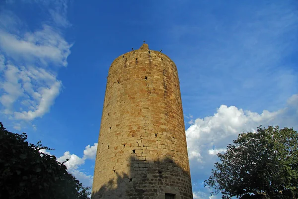 スペイン、カタルーニャ州、ジローナの仲間のタワー — ストック写真