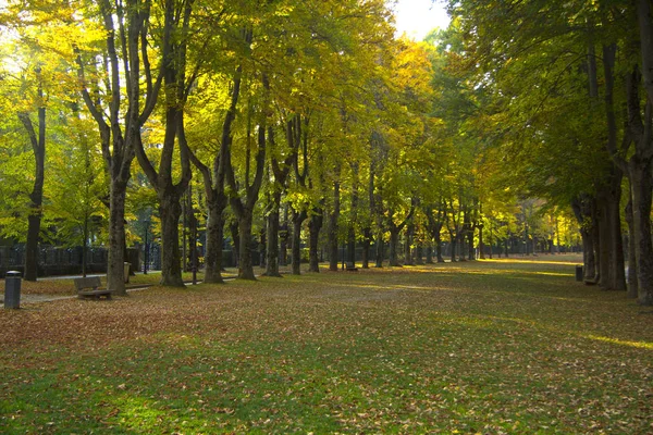 Autunno dei Pirenei, Camprodon, provincia di Girona, Spagna — Foto Stock