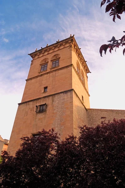 Дворец Кондес-де-Фазара в Сории, Кастилья-Леон, Испания — стоковое фото