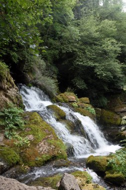source (les fonts del LLobregat) in Castellar de N hug, Barcelon