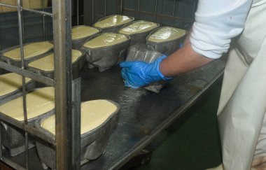 Unmold Türkiye ham et endüstrisi,