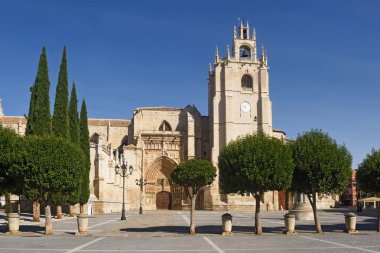 Katedral San Antolin Palencia, Castilla y Leon, İspanya