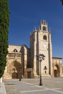 Katedral San Antolin Palencia, Castilla y Leon, İspanya