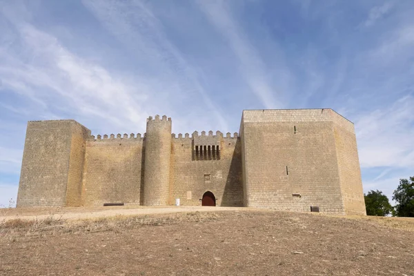 Montealegre de Campos, Tierra de Campos bölge, Vallad Kalesi