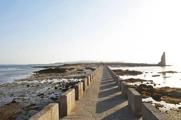balıkçılık çubuklar üzerinde Aursa Adası önünde Navalpromenade, Pontevedra Eyaleti, Galiçya, İspanya