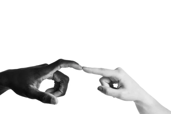 One caucasian and one african hand on white background — Stock Photo, Image