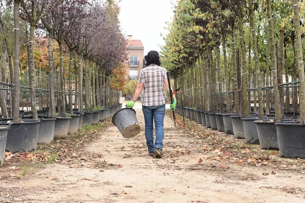 Mujer que trabaja en el centro del jardín , — Foto de Stock