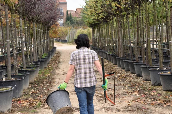 Mujer que trabaja en el centro del jardín , — Foto de Stock