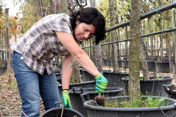 Mujer que trabaja en el centro del jardín , — Foto de Stock