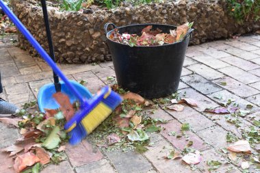 yapraklar sonbaharda yerden toplama