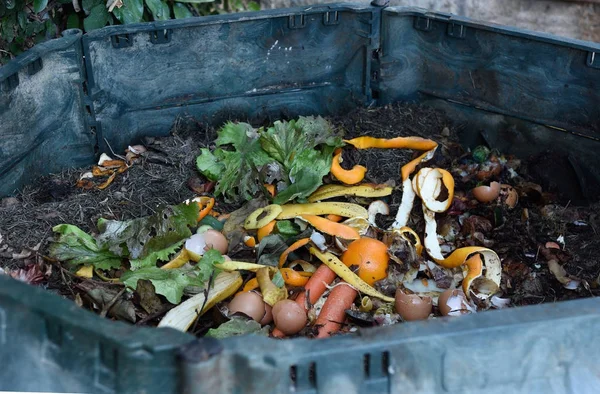 All'interno di un contenitore di compostaggio — Foto Stock