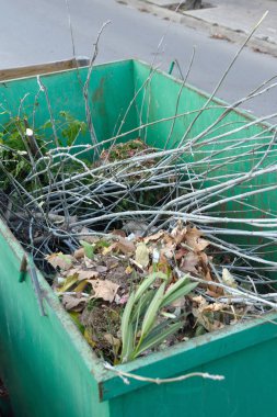 ağaçların geri dönüşüm için bir kap içinde kalır