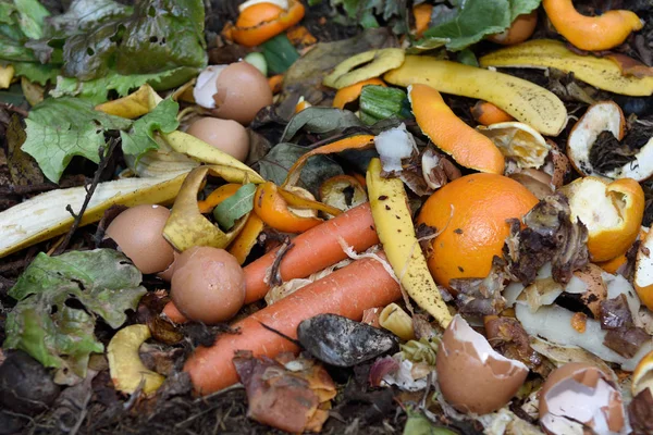 kompost bir konteyner içinde